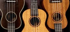 Read more about the article Best Beginner Tenor Ukuleles Reviewed & Compared